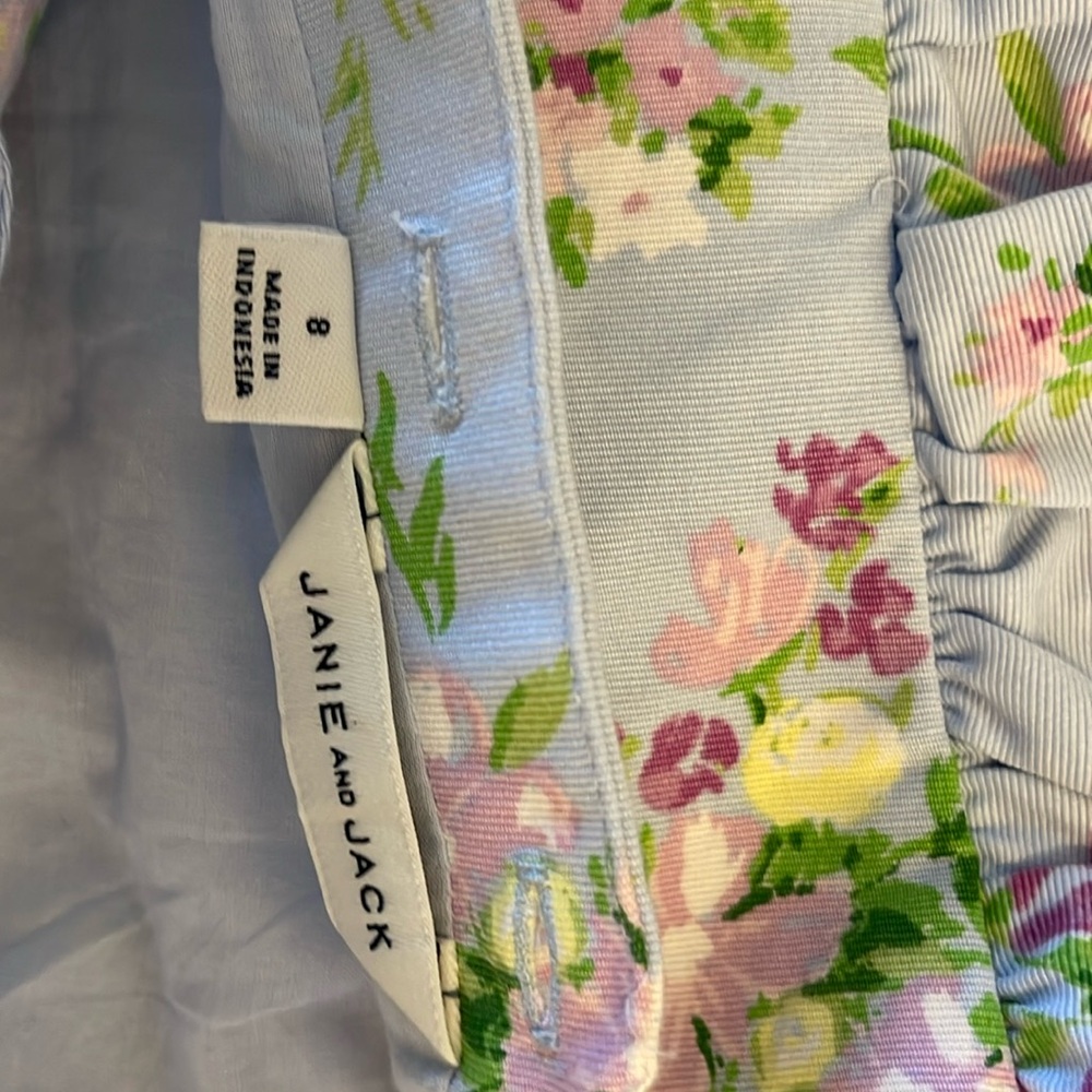 Janie and Jack Girls Light Blue and Purple Floral Lined Dress Size 8 - Picture 4 of 4